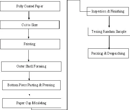 paper cup machine process